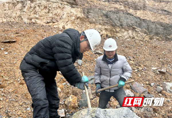 醴陵市发现生物化石资源