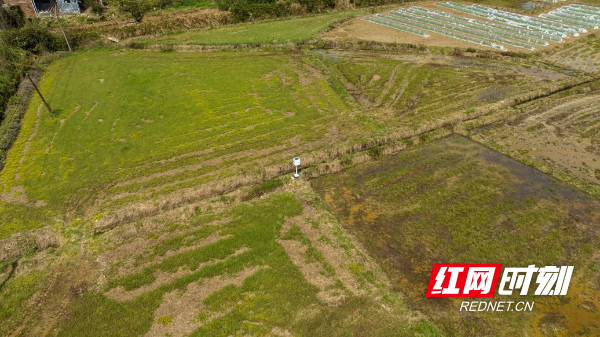 醴陵市：虫情智能监测系统赋能植保