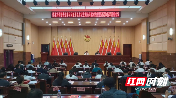 攸县共青团召开十六届委员会第六次全体（扩大）会议