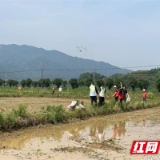 茶陵县：扎根在一线 成长在农村