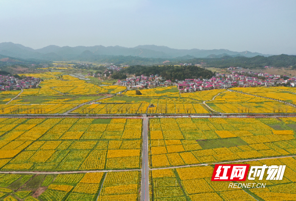 株洲：构建“内畅外联”综合交通运输体系