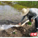 醴陵：稻田灌溉“旱不愁” 村民“笑开颜”