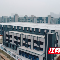 从开工到竣工仅6个月！株洲高新区又一重点项目上“新”