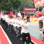 天元区第二届群众拔河比赛火热开拔