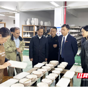 湖南开放大学调研株洲开放教育工作:办学成绩可圈可点!