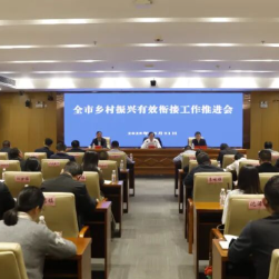 醴陵市乡村振兴有效衔接工作推进会议召开