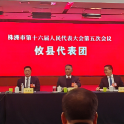 曹慧泉参加醴陵市、攸县代表团审议