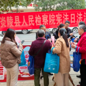 炎陵县人民检察院开展宪法普法宣传活动