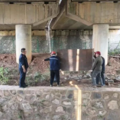 高速桥下藏违建 茶陵管理所联合多方依法拆除