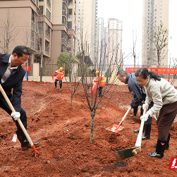 种下春天 天元区举行义务植树活动