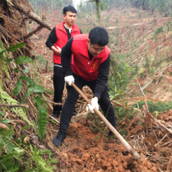 炎陵团县委组织开展义务植树活动 点燃青春“绿”动引擎