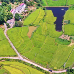 天元区：春耕课堂上到田间