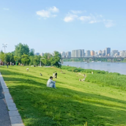 天元区泰山路街道湘紫社区：让家门口的“微幸福”触手可及