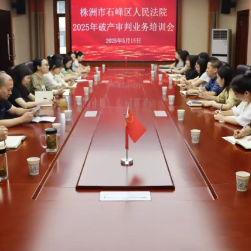 石峰区法院召开2025年破产审判业务培训会