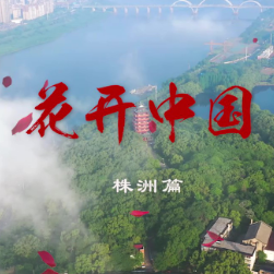 视频丨巾帼芳华耀株洲！她们唱响《花开中国》超燃旋律
