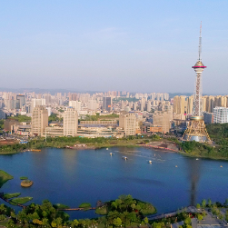 株洲市委副书记、市长陈恢清与重点外贸企业代表座谈