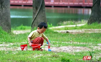 株洲栗雨湖公园：这里藏着普通人的夏日小确幸