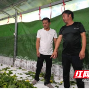 醴陵市桑蚕产业探索致富新“丝”路