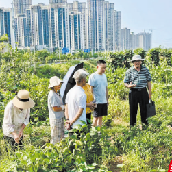 天元区：多点发力绘就湘江畔和美乡村新画卷