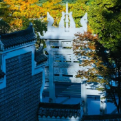 40年，从湘东小城到网红IP——醴陵文旅融合的破圈之路
