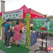 攸县新市镇：人大代表用行动诠释为民的初心使命