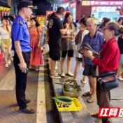 醴陵市：人大监督助力城市管理更有温度