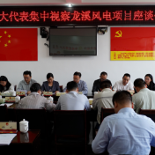 炎陵县：四级人大代表看项目 聚焦发展献良策