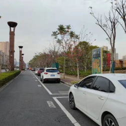 株洲道路停车收费新规来了