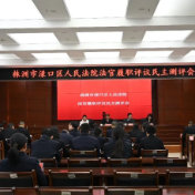 渌口区人民法院召开法官履职评议民主测评会