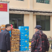 醴陵市人大代表与企业家节前走访慰问枫林镇敬老院