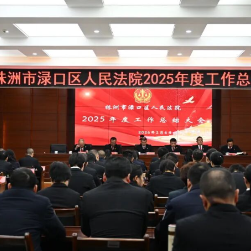渌口法院召开2025年度工作总结大会