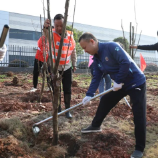 今天，你为天元充“植”了吗？