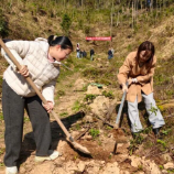 炎陵检察植绿忙 检护青山添新色