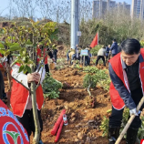 株洲市交通运输局开展义务植树活动