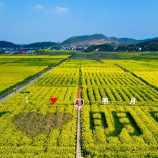 醴陵南县,不如春天见一面!