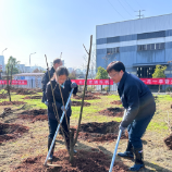 株洲市政协机关开展2026年义务植树活动