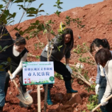 株洲中院组织40余名干警开展义务植树活动
