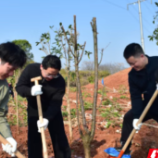 株洲检察干警为春天充“植”