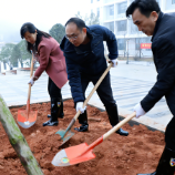 醴陵：“植”此青绿，共“树”未来