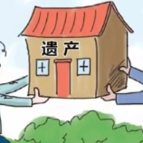 以案说法丨养子成年后意外离世，遗产如何分？石峰法院这样判！