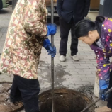 天元区：疏通下水管道解民忧 社区联动办实事暖民心