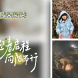 视频丨株洲市荷塘区龙洲小学开展“寻找春天”主题实践活动