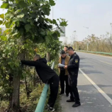 擅自砍伐高速公路护路林，株洲交通运输执法部门开出行政处罚单