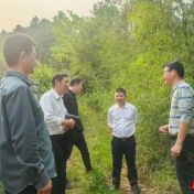 湖南高院在株洲法院开展“走基层 储项目”实地调研