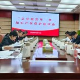 株洲法院打响知识产权“企业服务年”升级战