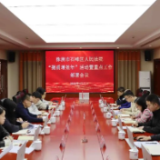 石峰法院召开“提质增效年”行动暨重点工作部署会