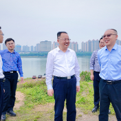 聚焦安全整治与民生保障 株洲市政协赴芦淞区督导调研