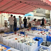 文旅百业深度融合，“醴陵故事”更加鲜活