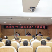 株洲市数据局组织开展“AI+政务服务”专题培训
