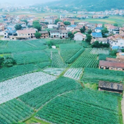 省级重点建设名单公布!醴陵两地上榜